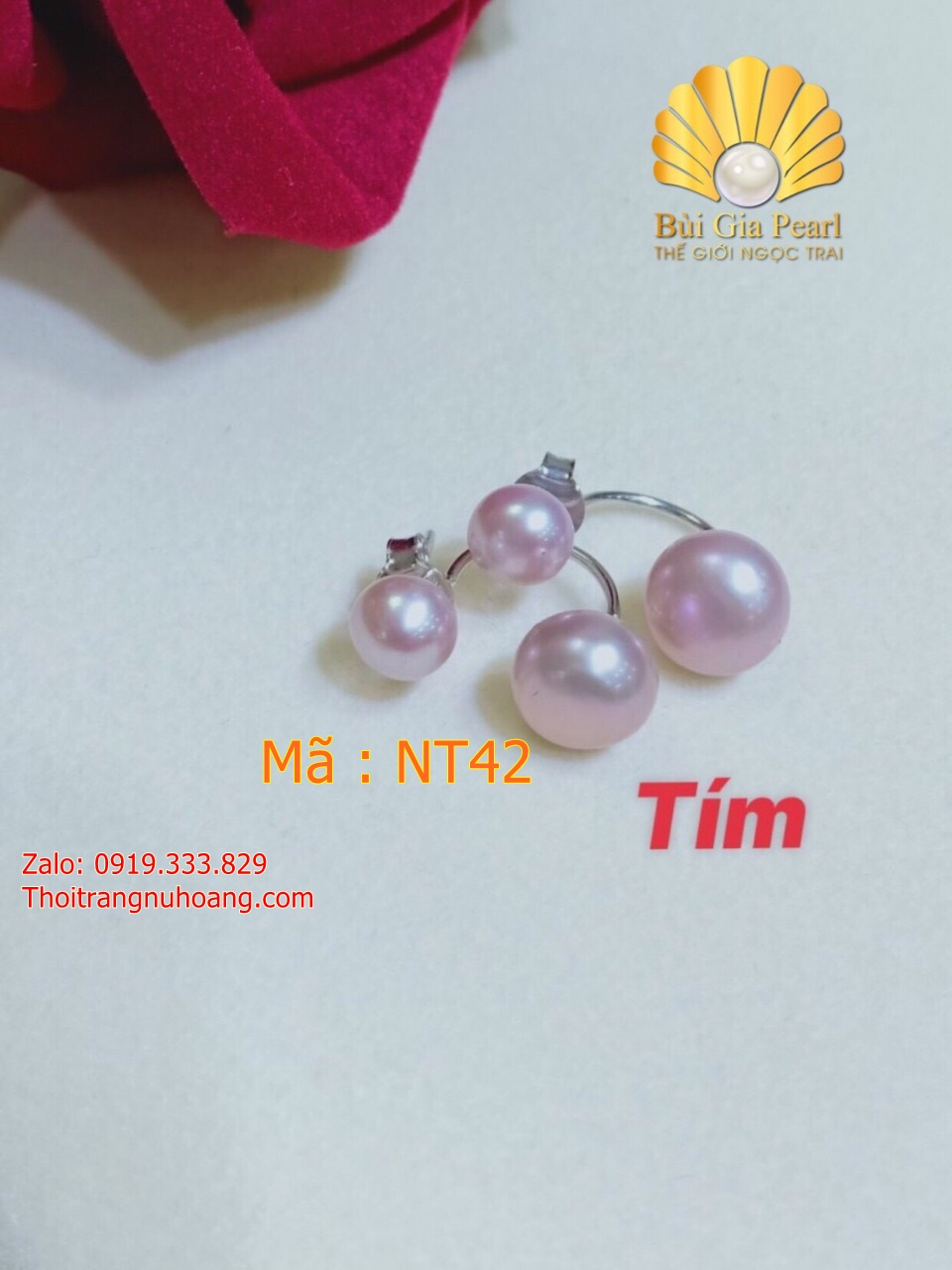 Hoa tai Dior móc trẻ trung , sang trọng và quý phái NT43